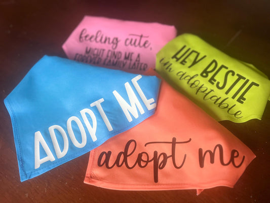 4 pack Bundle - Hey Bestie, I'm Adoptable; Adopt Me (2); Feeling Cute - Adopt Me Foster Pet Bandana - Triangle tie on - 26"/31.5"