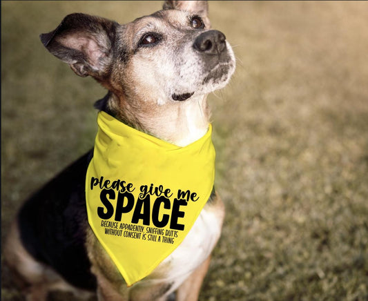 Sniffing Butts without Consent - Nervous, Need Space - Dog Bandana - Triangle Tie on - 26"/31.5"