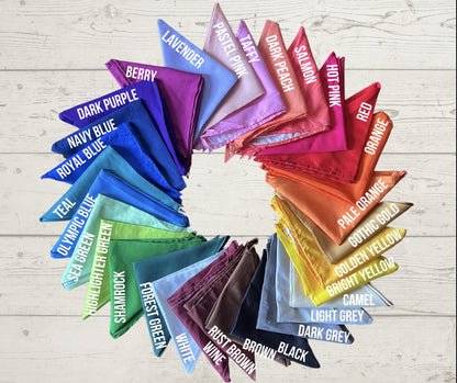 10 pack Bundle - Adopt Me Foster Pet Bandana - Triangle tie on - 26"/31.5"