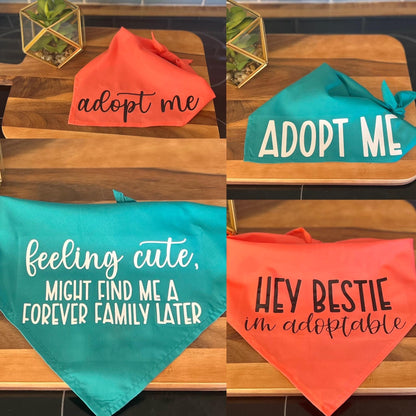 4 pack Bundle - Hey Bestie, I'm Adoptable; Adopt Me (2); Feeling Cute - Adopt Me Foster Pet Bandana - Triangle tie on - 26"/31.5"
