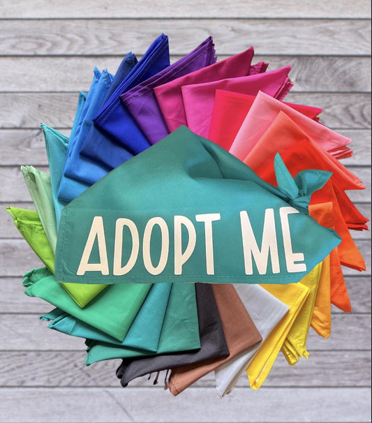 10 pack Bundle - Adopt Me Foster Pet Bandana - Triangle tie on - 26"/31.5"