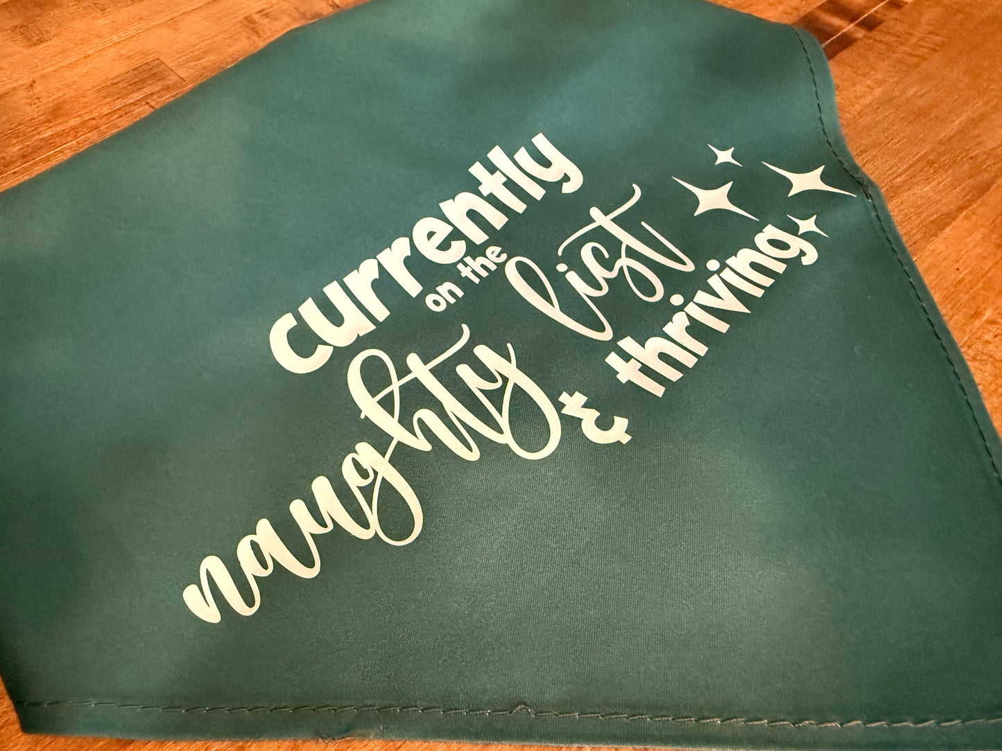 Naughty List & Thriving - Christmas Dog Bandana - Triangle Tie On - 26"/31.5"